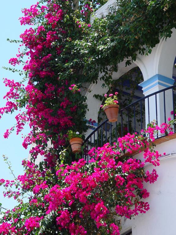 Pierre & Vacances Mojacar Playa Exterior foto